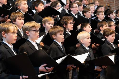 6529580aaf5f8e0883459746 Knabenchor Hannover 006 (c) Blickpunkt photodesign D.Bödeker