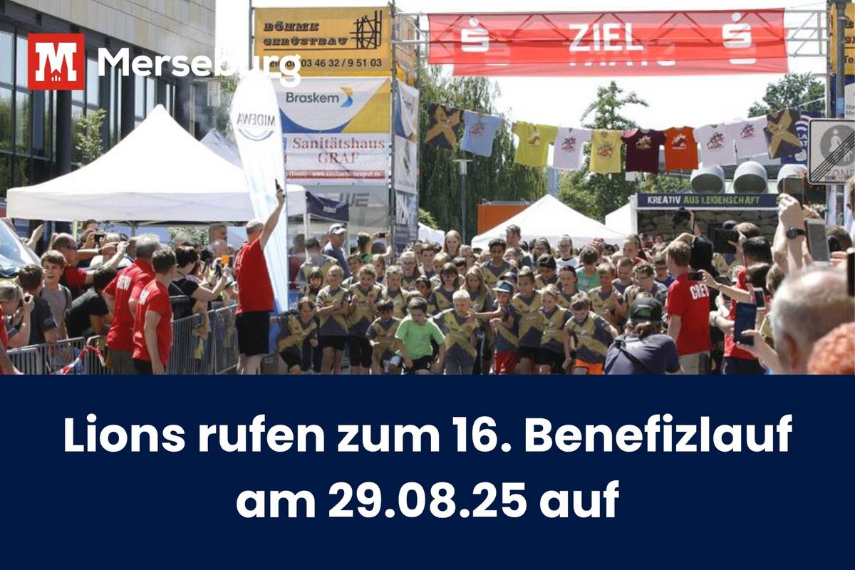 beitragsbild lionslauf 25