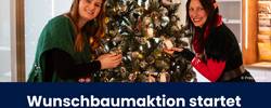 beitragsbild wunschbaum