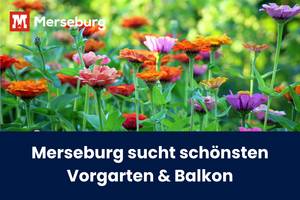 beitragsbild blumenschmuck