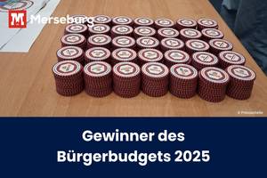 Beitragsbild Gewinner Bürgerbudget 2025 © Pressestelle gestapelte Bürgerbudgetchips zur Auszählung und der Titel des Artikels