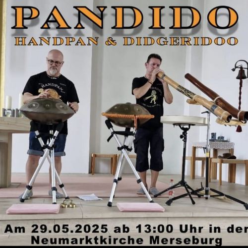Pandido pandido