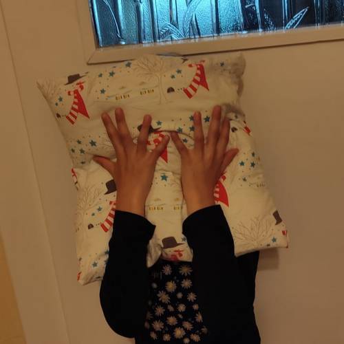 Das Kuschelkissen ist fertig IMG 20250805 WA0013