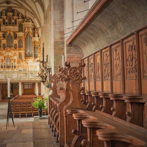 Chorgestühl Orgel (c) Vereinigte Domstifter Falko Matte