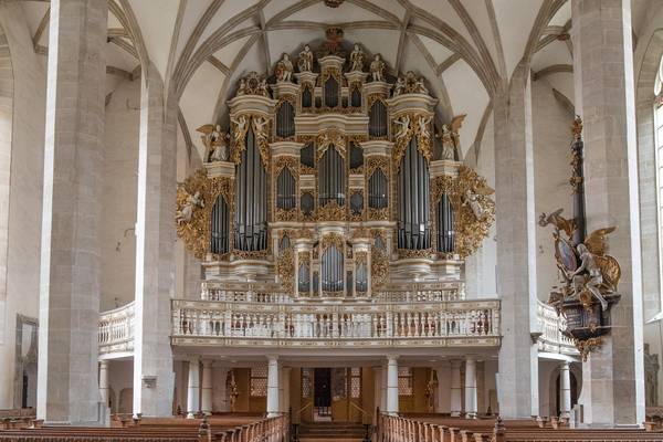 Domorgel © Falko Matte ladegastorgel quer c vereinigte domstifter foto falko matte