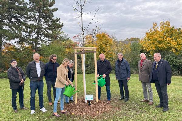 Baumpflanzung an der Hochschule © Pressestelle baumpflanzung