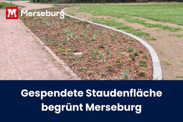Beitragsbild Staudenfläche © Pressestelle beitragsbild staudenfl che